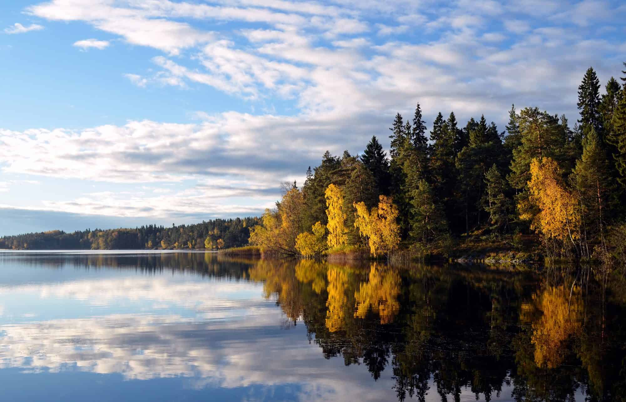 Natuur vlakbij Stockholm Zweden - Reishonger